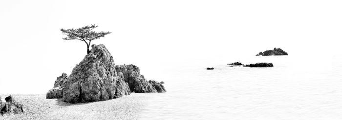 서학동사진미술관서 유백영 사진전 ‘생명’